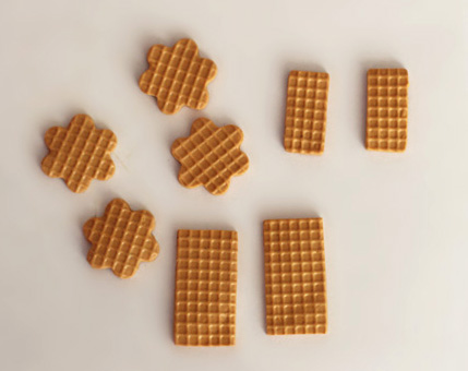 wafers-01-400.jpg
