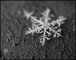 In The Depth Of Winter