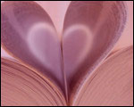 The Tribute Of Love