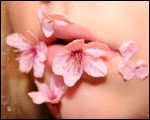 The Balmy Breath of Spring
