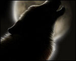 Wolfhounds