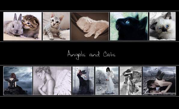 Angels and Cats
