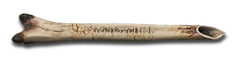 bones-01.png
