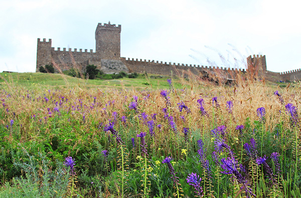 http://www.saule-spb.ru/vision/web/postcards/2017/i/sudak-02.jpg