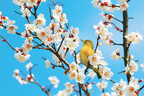http://www.saule-spb.ru/vision/web/postcards/2017/spring.jpg