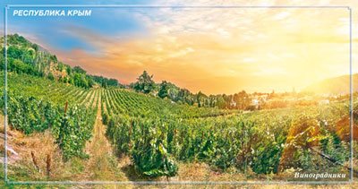 http://www.saule-spb.ru/vision/web/postcards/crimea/vineyard.jpg