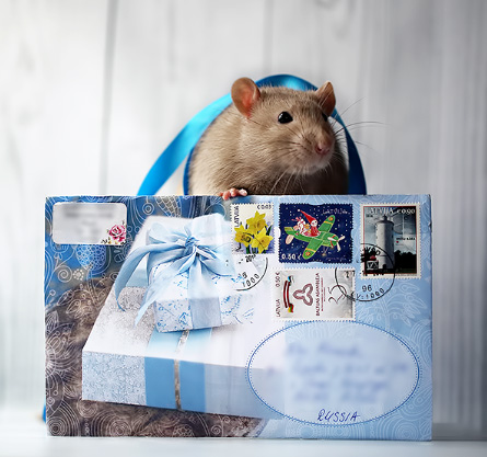 http://www.saule-spb.ru/vision/web/postcards/dm-lv-03.jpg