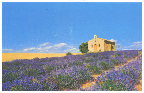 http://www.saule-spb.ru/vision/web/postcards/pp-2015-07/vyatka.jpg