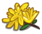 yellow-flower.png
